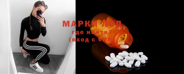 хмурый Гусь-Хрустальный
