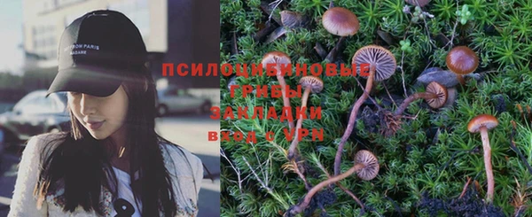 хмурый Гусь-Хрустальный