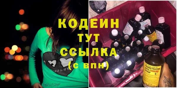хмурый Гусь-Хрустальный