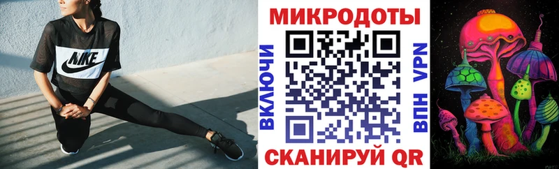 Купить Окуловка Галлюциногенные грибы Psilocybe